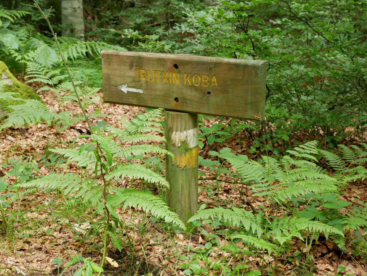 Seinalea bidegurutzean