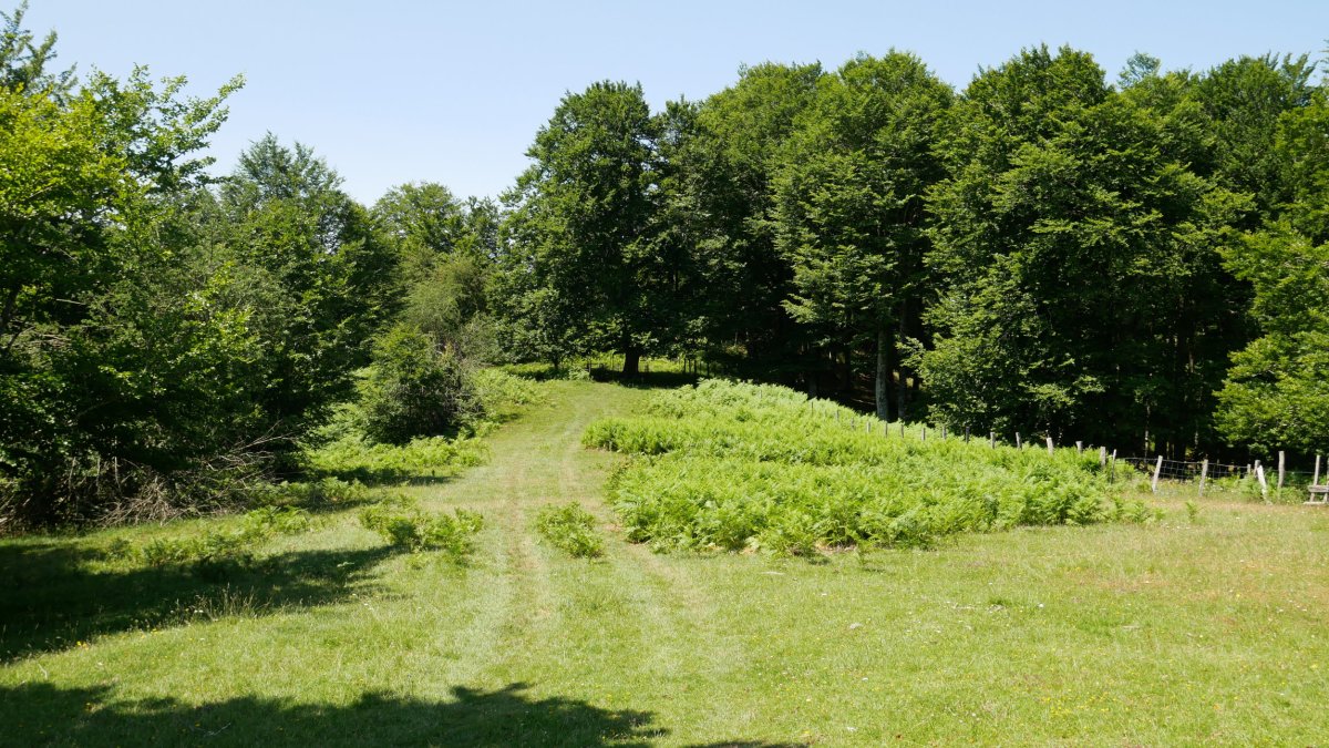 Mezeriaingo larreak, Aitzegigaña mendiaren mendebaldean