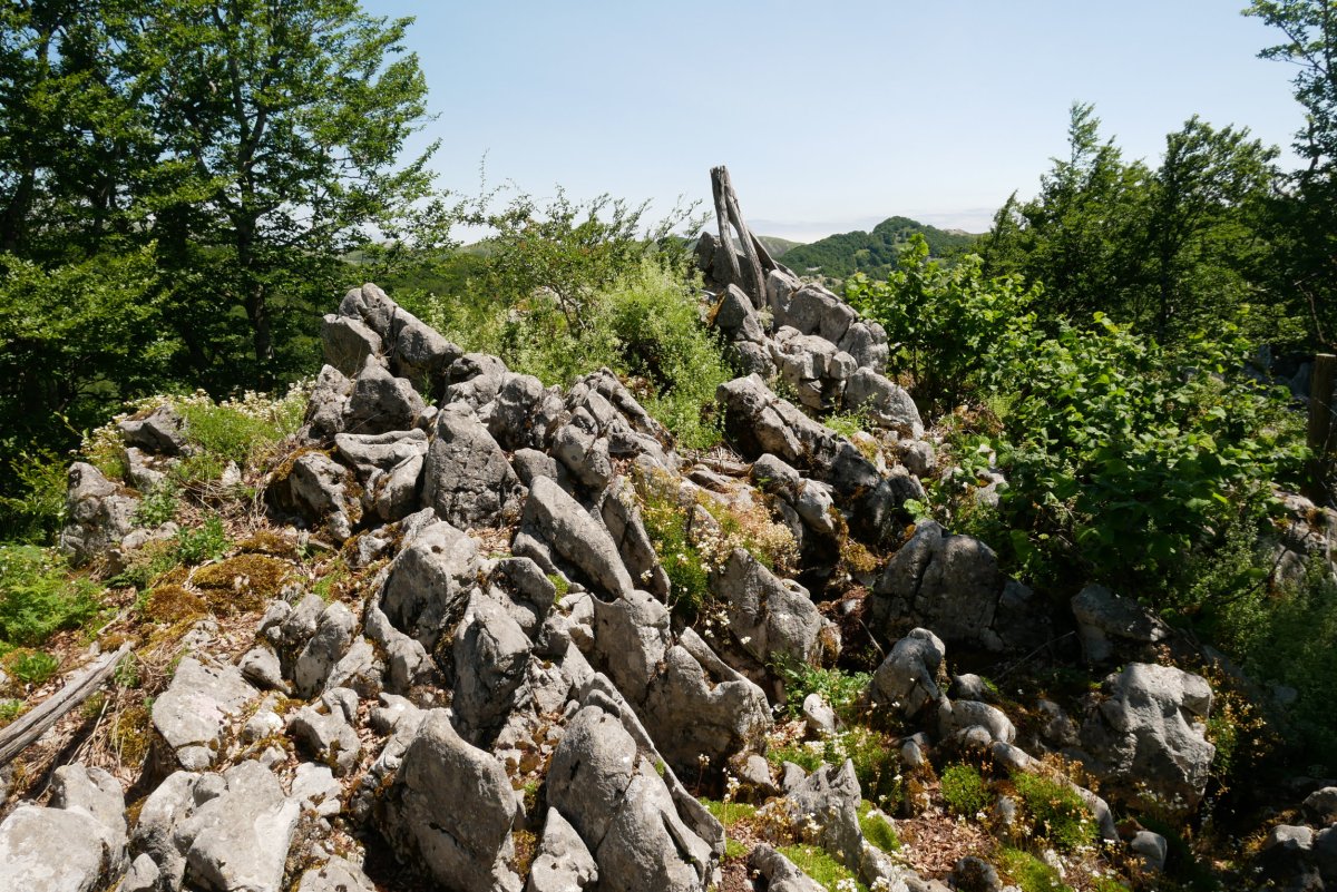 Aitzegigaina tontorra