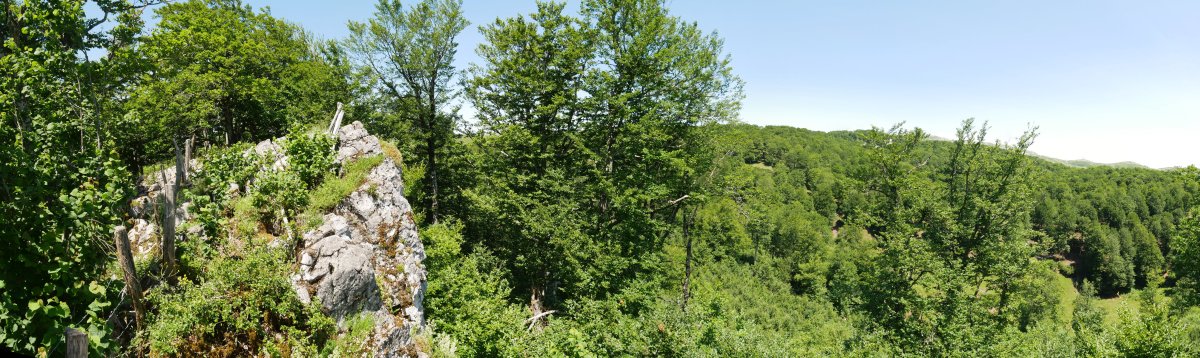 Aitzegigaña tontorra