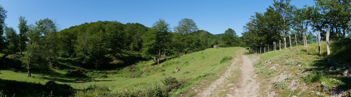 Izarrita aldeko bidea