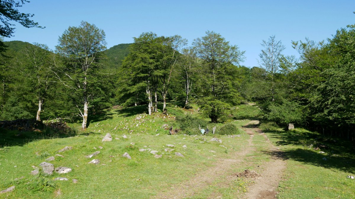 Izarrita aldeko bidea