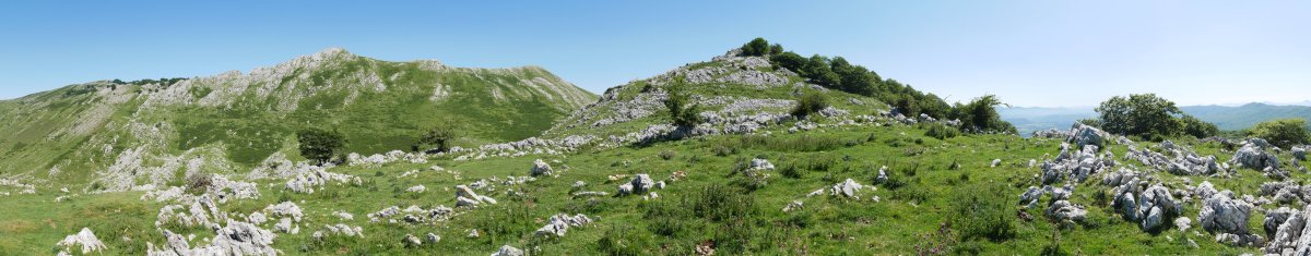 Arriolatz HMko hegitik