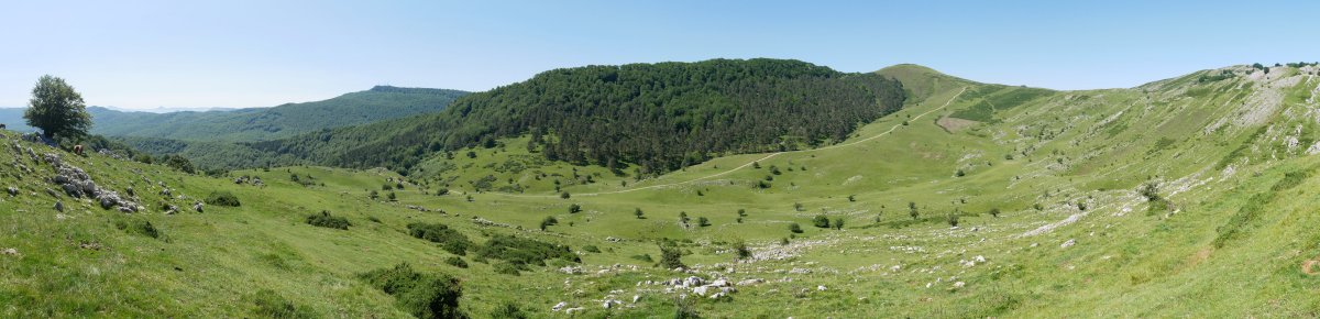 Beloki eta Balenkalekuko larreak