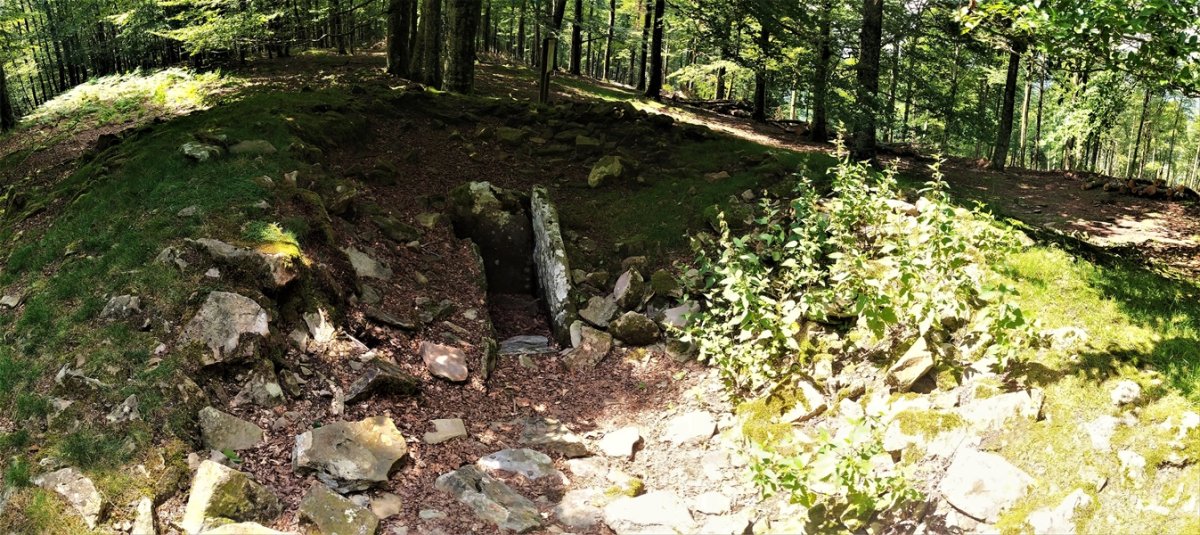 Miruatza Trikuharria