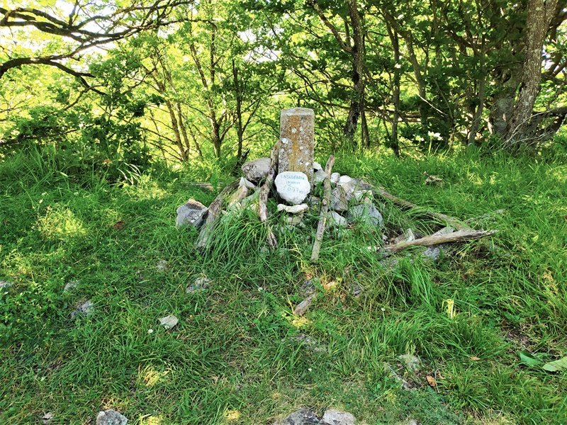 Indiagana Iparraldea