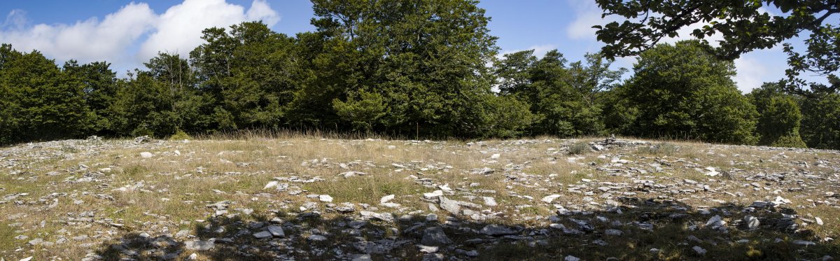 Akuetxiki eraztun tumuloa