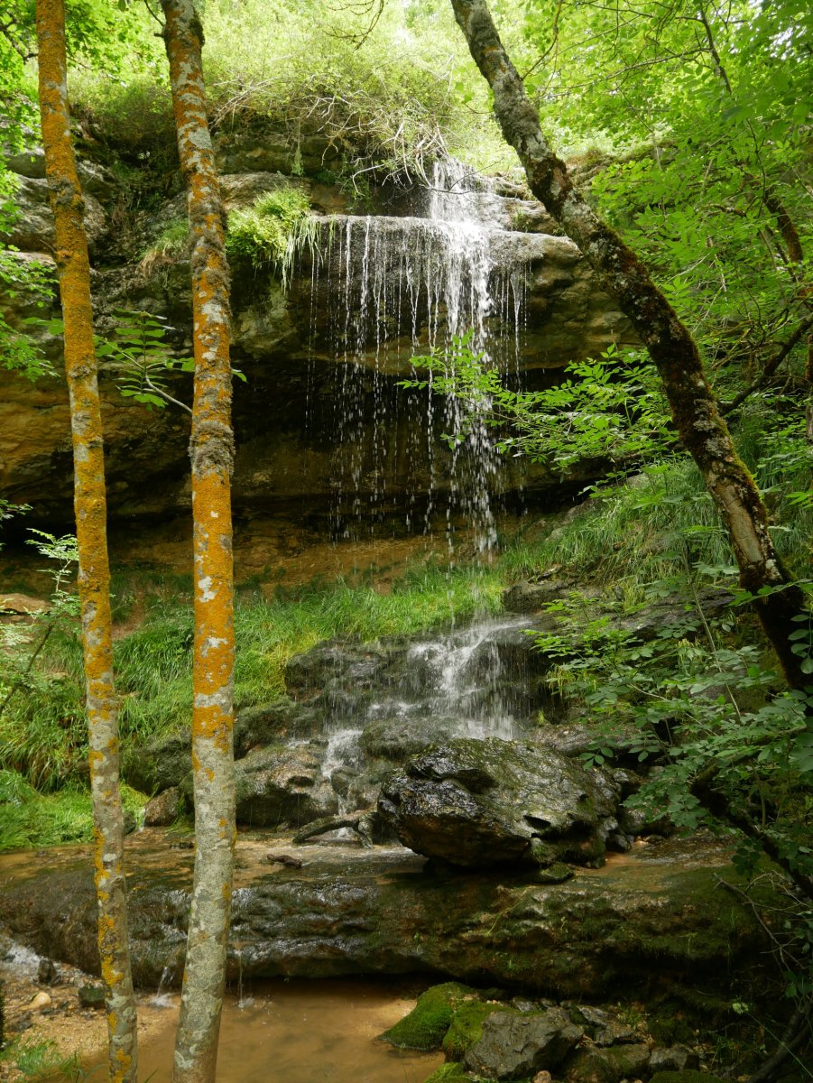 Beste ur jauzi bat bide bazterrean