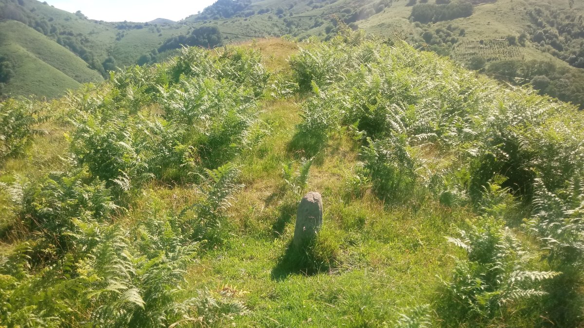 Antzabal (621m) tontorra