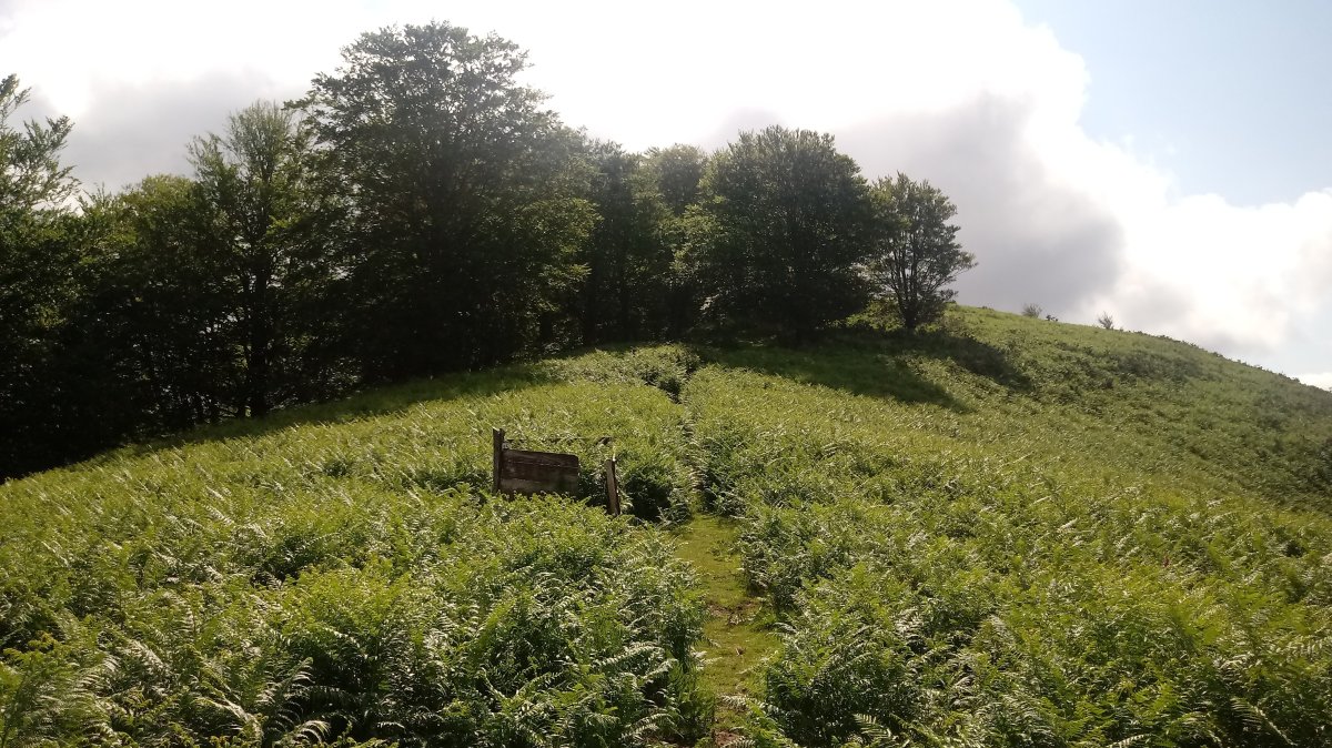 Otsomehaka (811m) tontorrerako senda