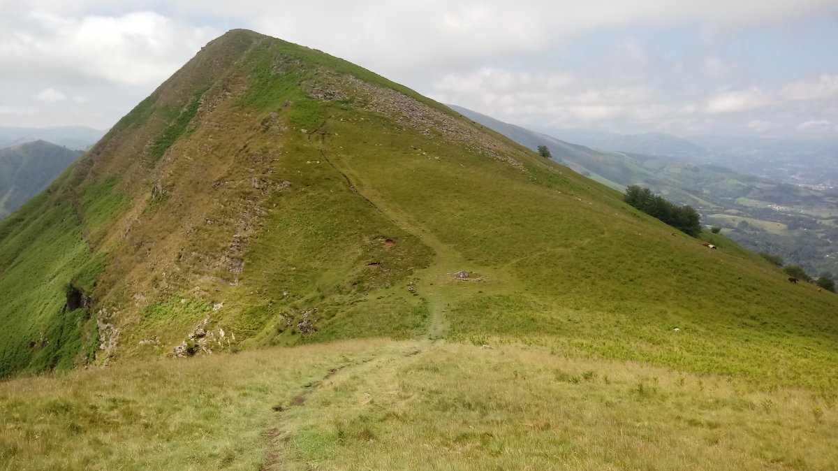 Buztanzelai (1029m) Astateko lepotik