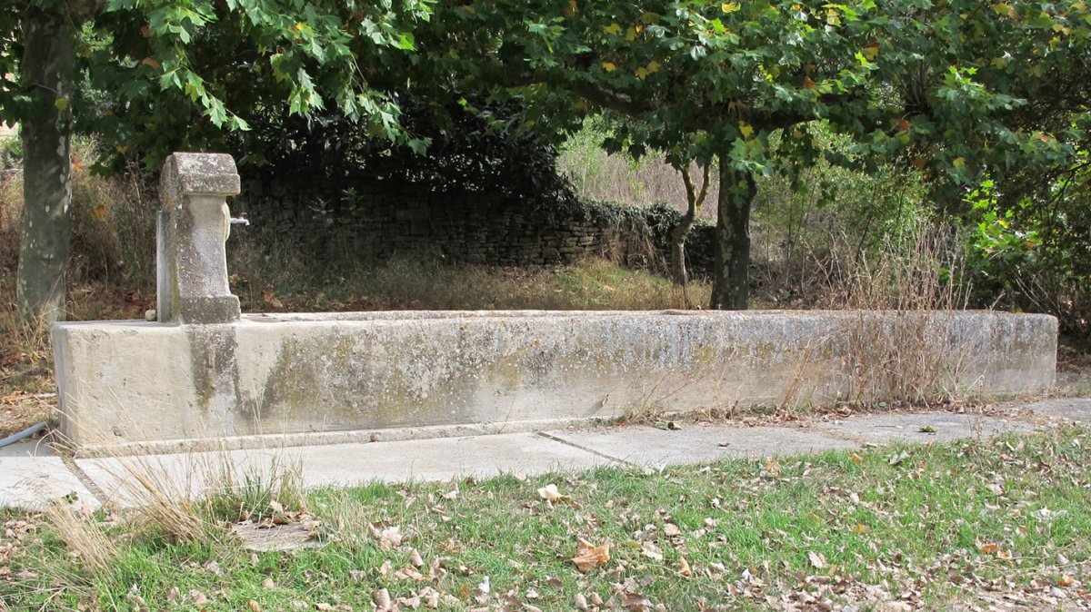 Iturria, Gongora-Aranguren