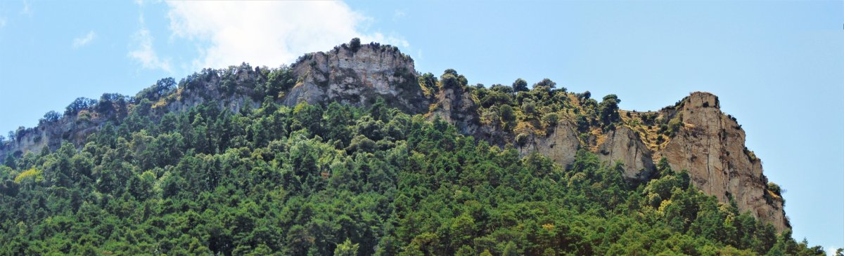 Olvedoko Bi Tontorrak