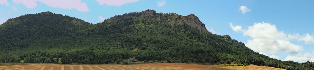 Olvedo eta Pelistornes