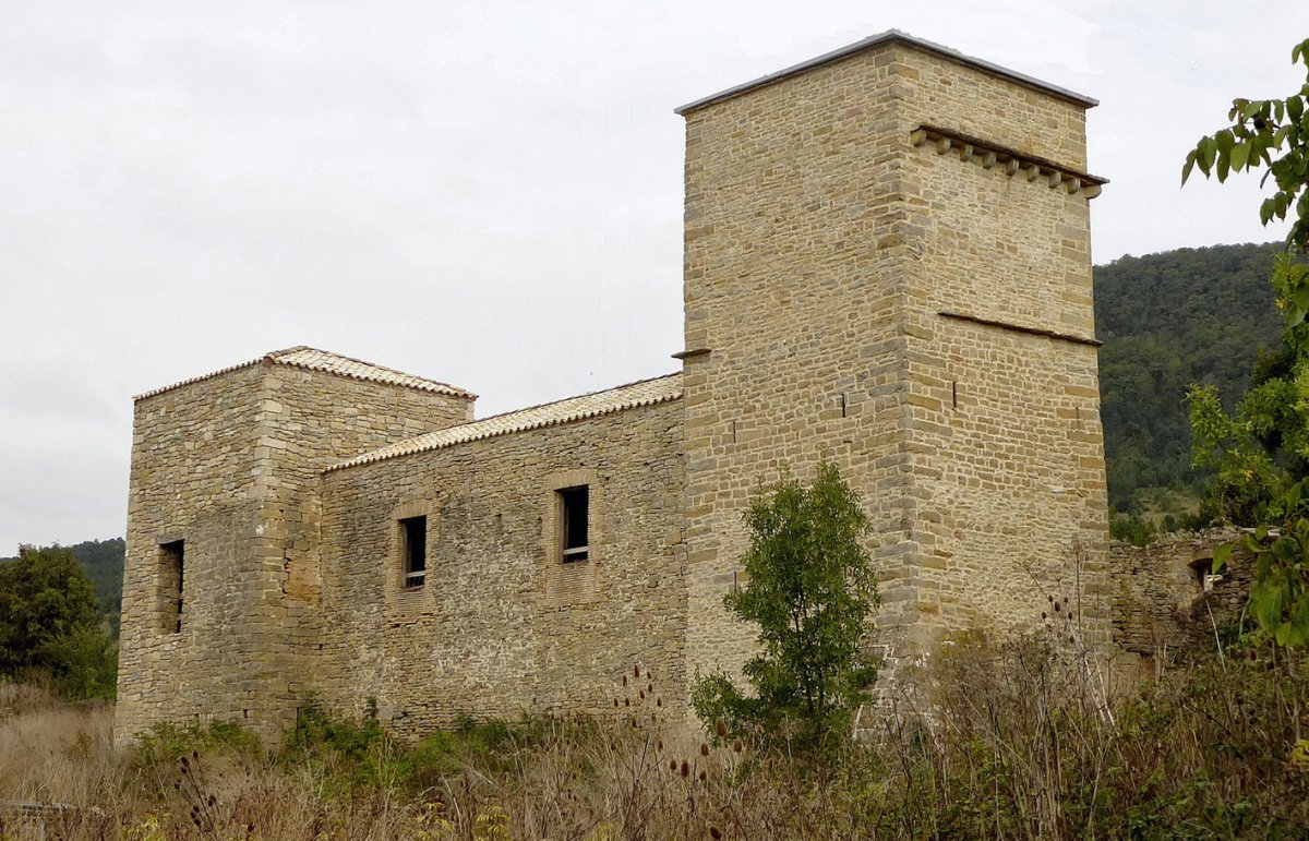 Gongora jauregia, Gongora-Aranguren
