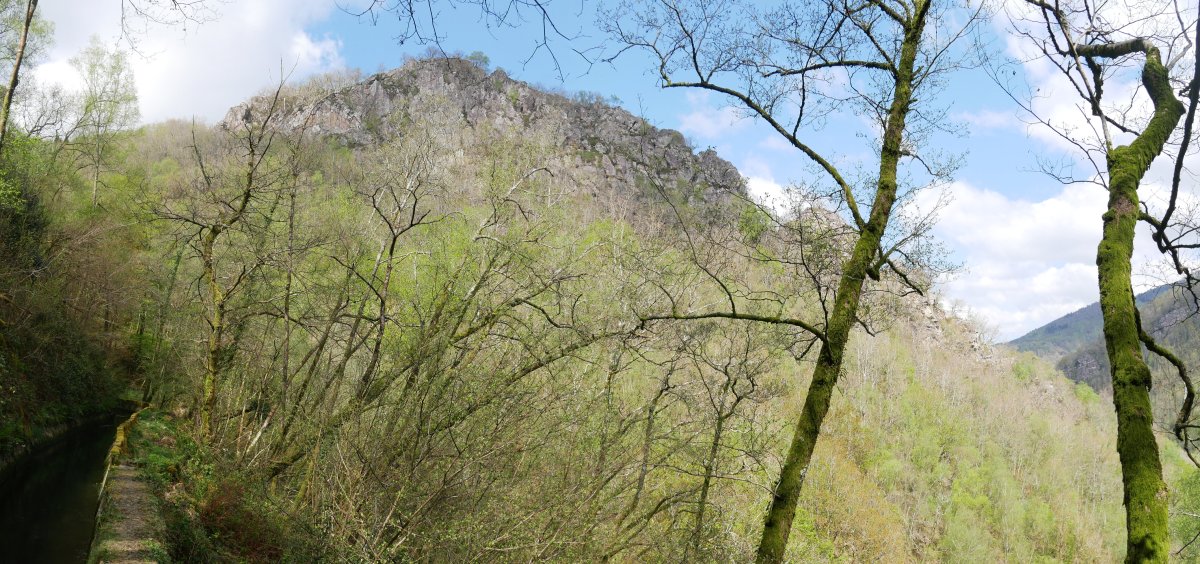 Arrisoraioko Harkaitza Ameraungo kanaletik