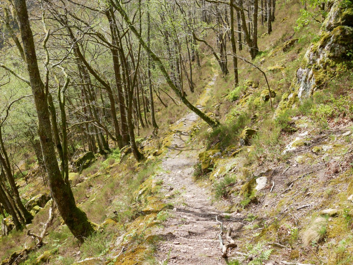 Ameraungo kanaletik datorren bidea