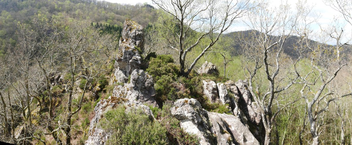 Beste harkaitz nabarmen bat gandorrean