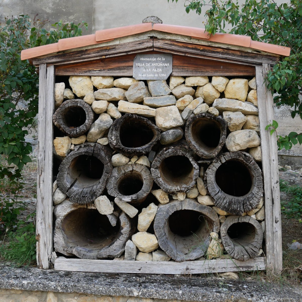 Erlearen omenez, Antoñana