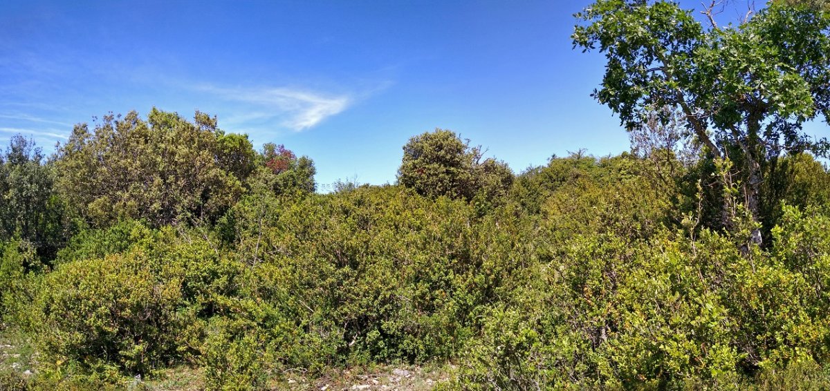 Banderako gailurra, ikuspegi handirik gaba