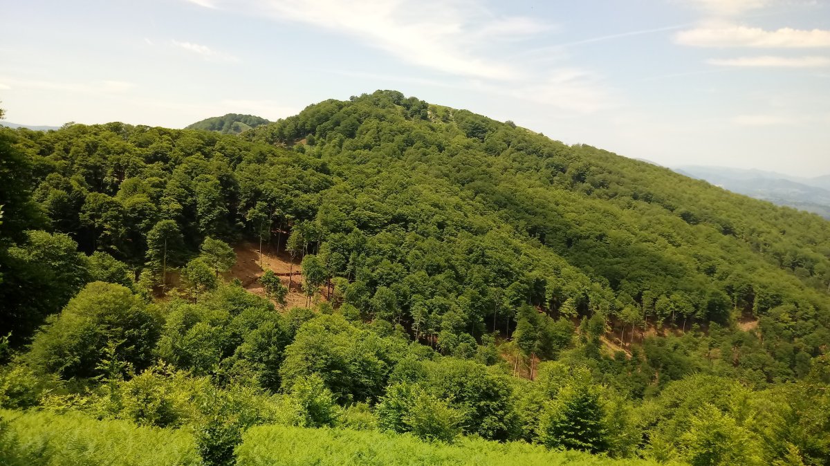 Abraku (1003m) ekialdetik