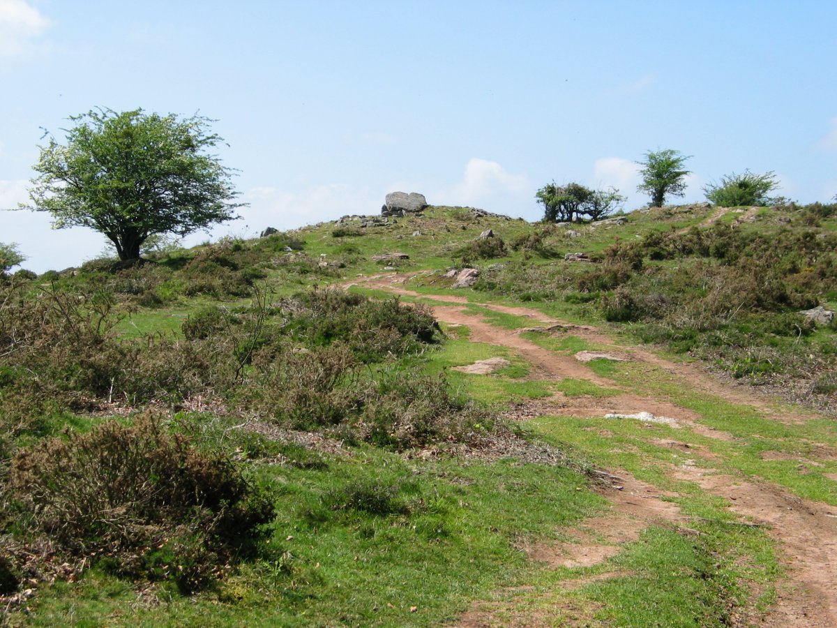 Lamizilo trikuharria