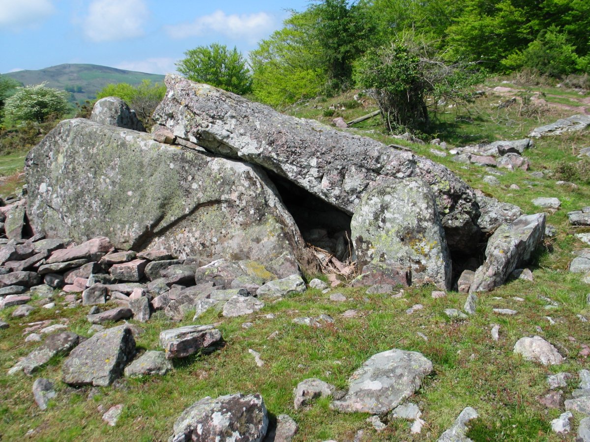 Lamizilo trikuharria