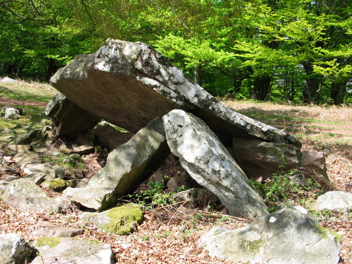 Errolan  trikuharria 2005