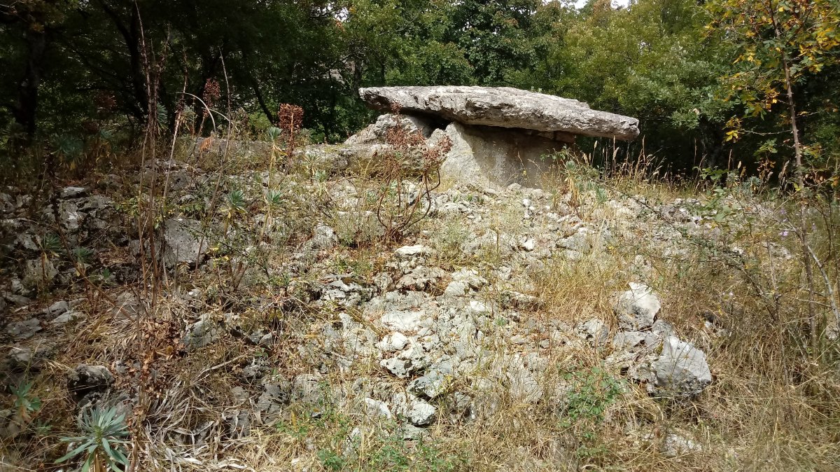 Artzabal trikuharria (2021)