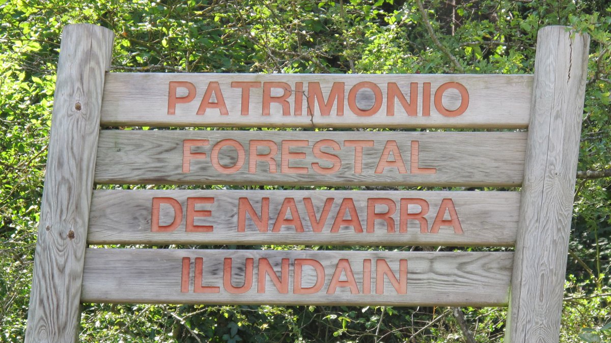 Kartela, Ilundain-Aranguren