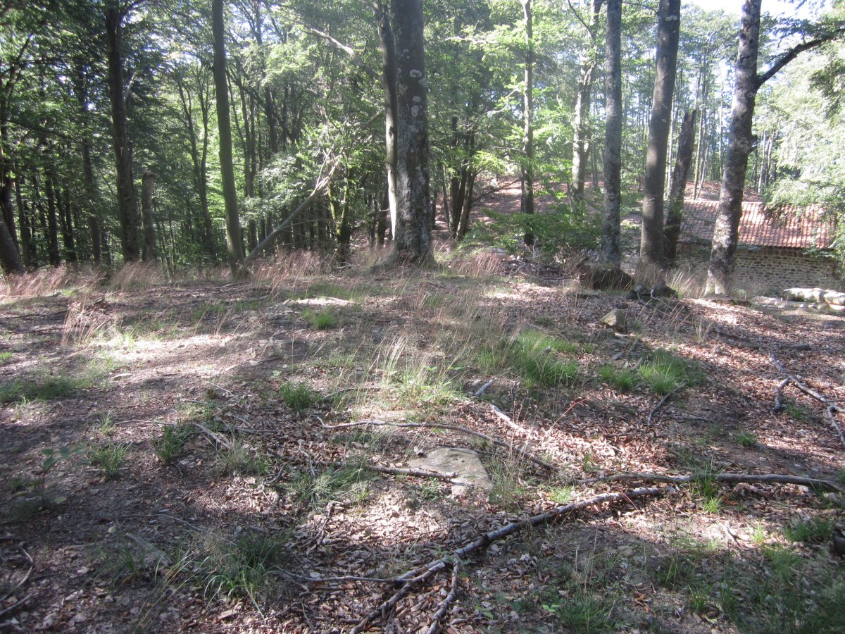 Dólmen Auntzetxe  (Julio 2013)