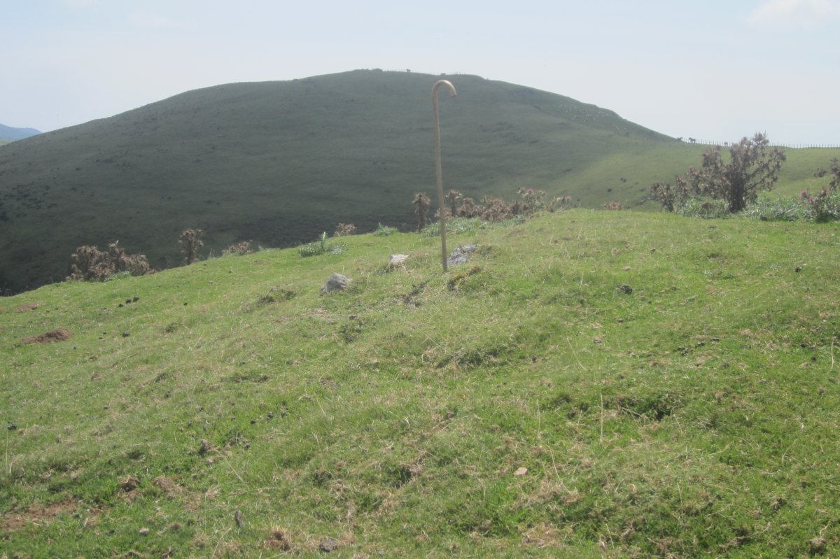 Túmulo Beardegiko Gaña II  (Agosto 2021)