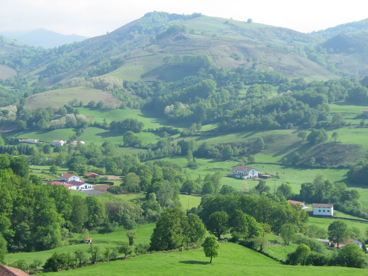 Berro auzoa Elizondo aldean