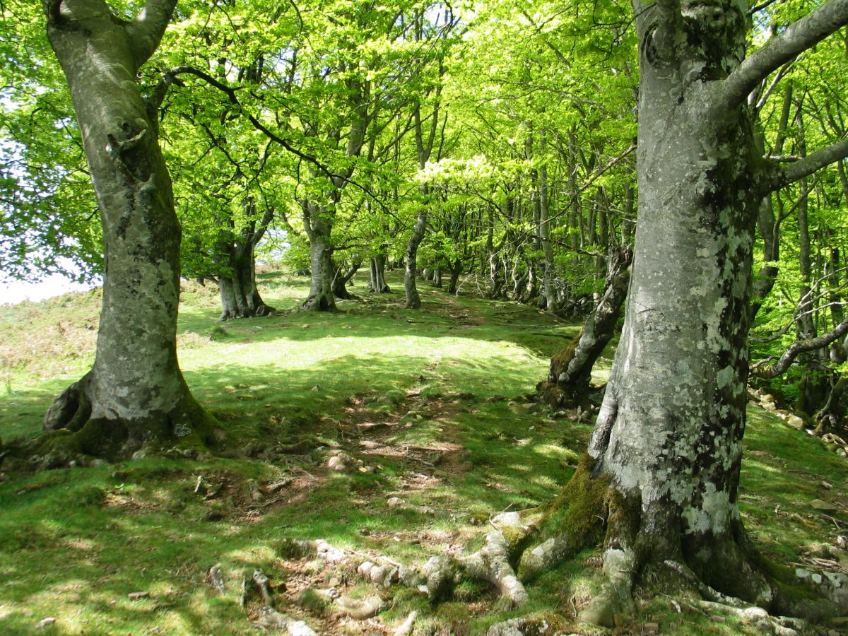 Basagar aldeko igoera