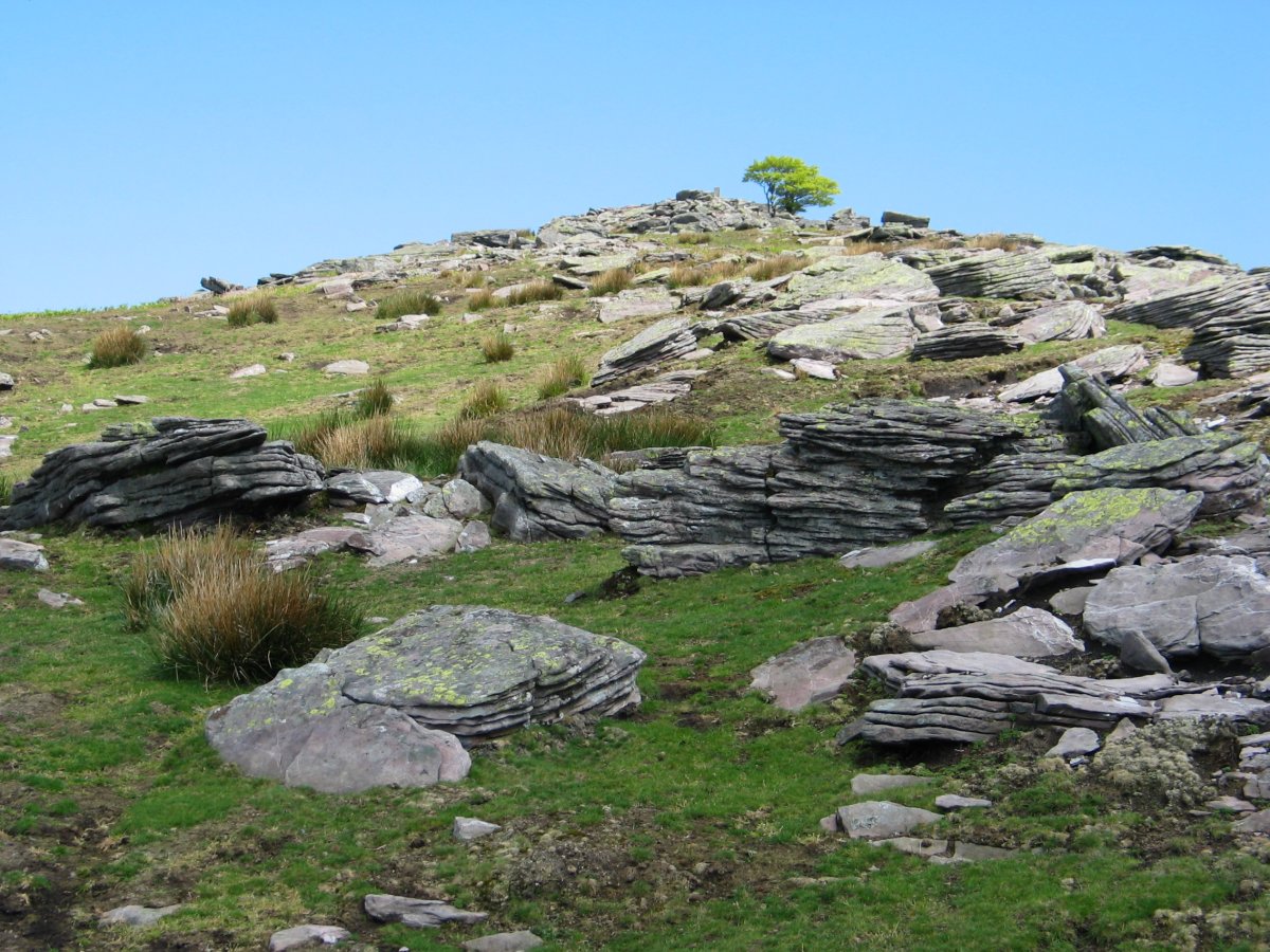Mko bizkarra tontorraren inguruan
