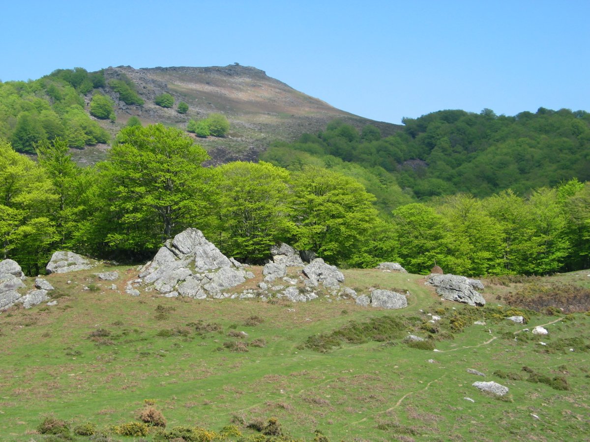 Argañeta Arlegi aldetik ikusita