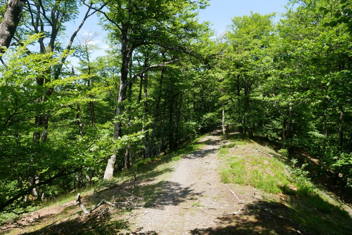 Hegoaldeko bizkarreko pasarte bat