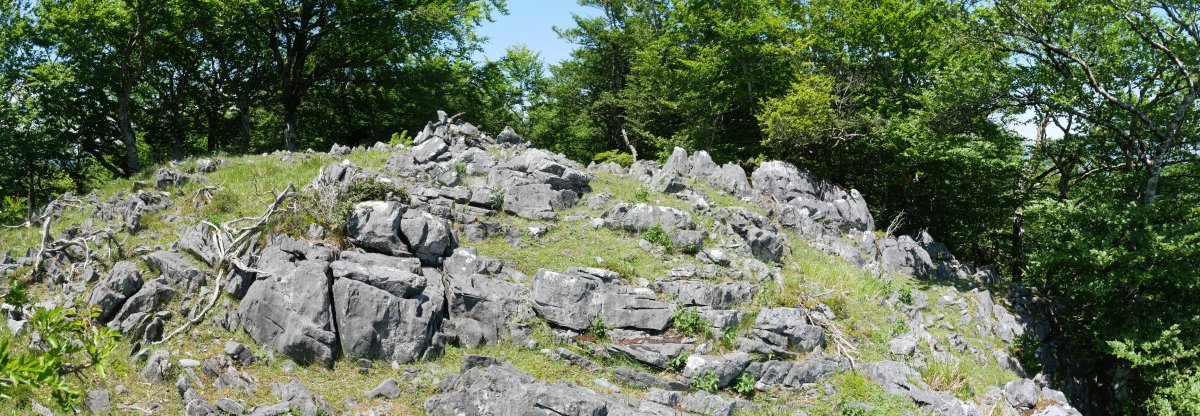 Intsusako Harmala tontorra