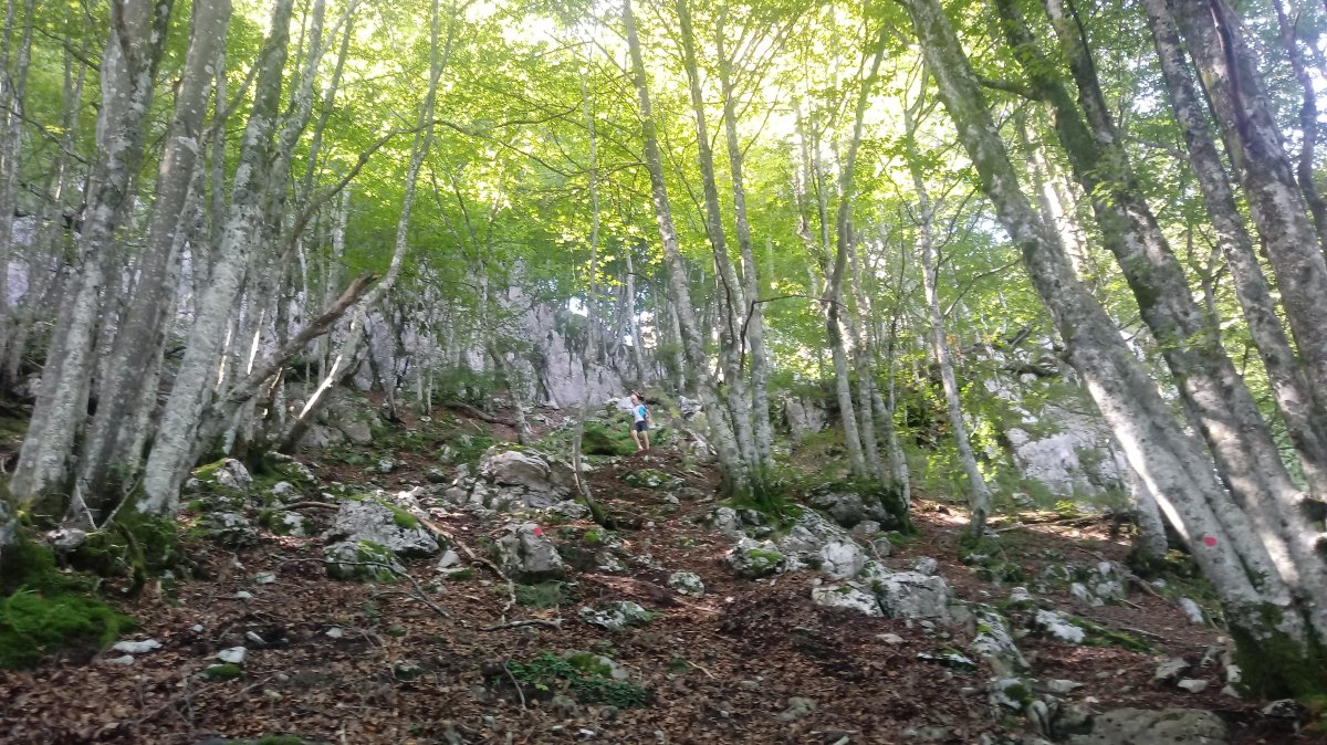 Iraule (1507m) Sakon Haundiko senda 3