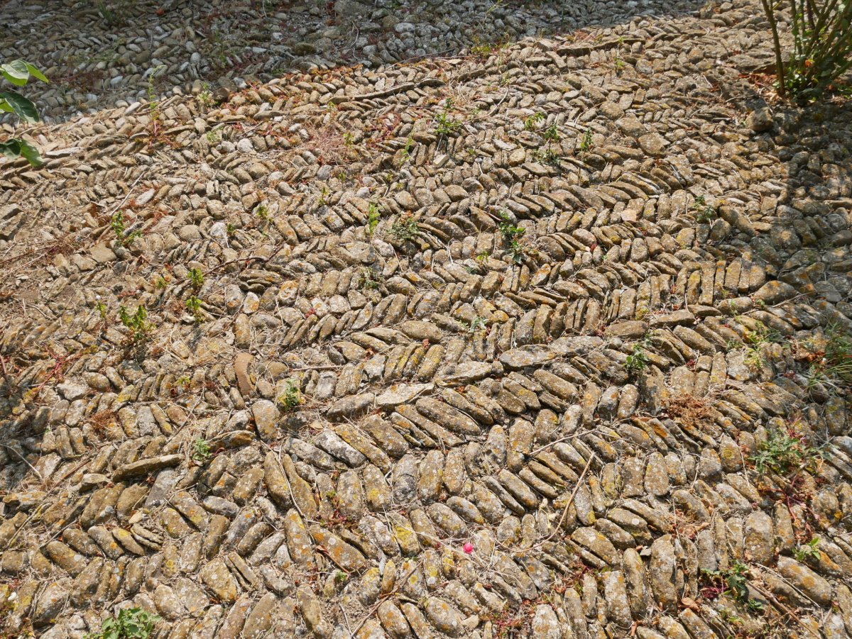 Eliza, Muniain Gesalatz