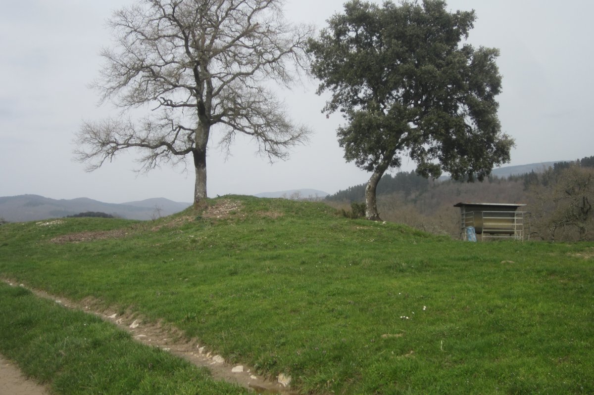 Dólmen Laurimendi  (Febrero 2021)