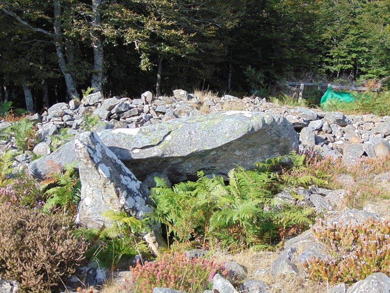 Arrobigaña Trikuharria