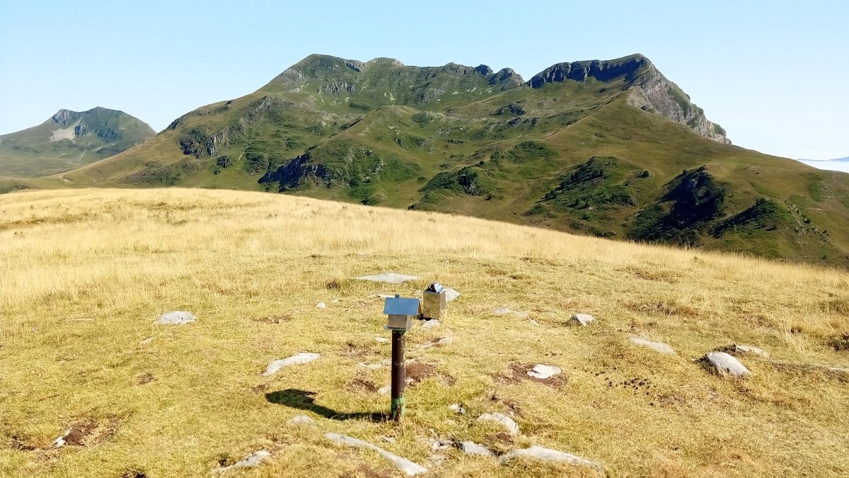 Larrondo (1703m), tontorra eta atzean Keleta-Ezkieta-Kartxela mendilerroa
