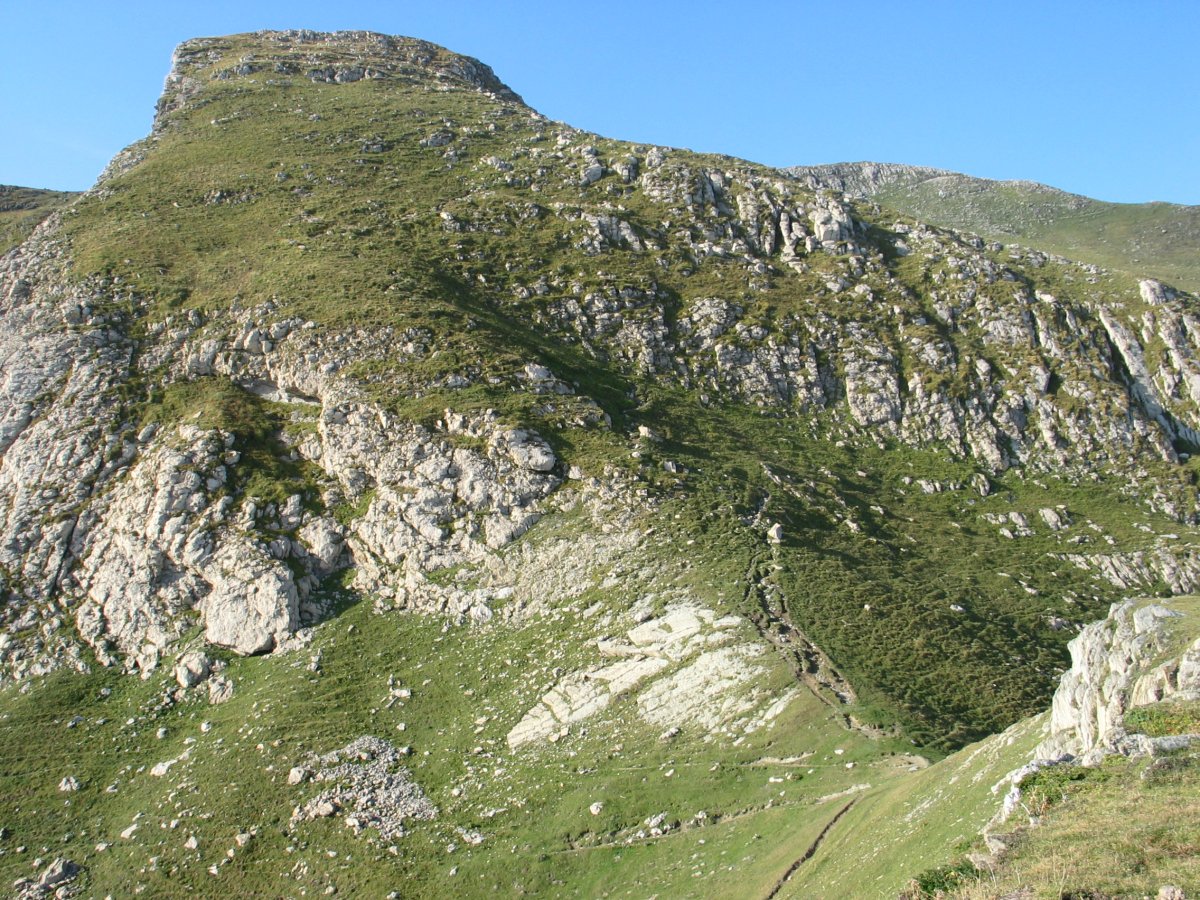 Iparraldeko lepotik gorako bidea