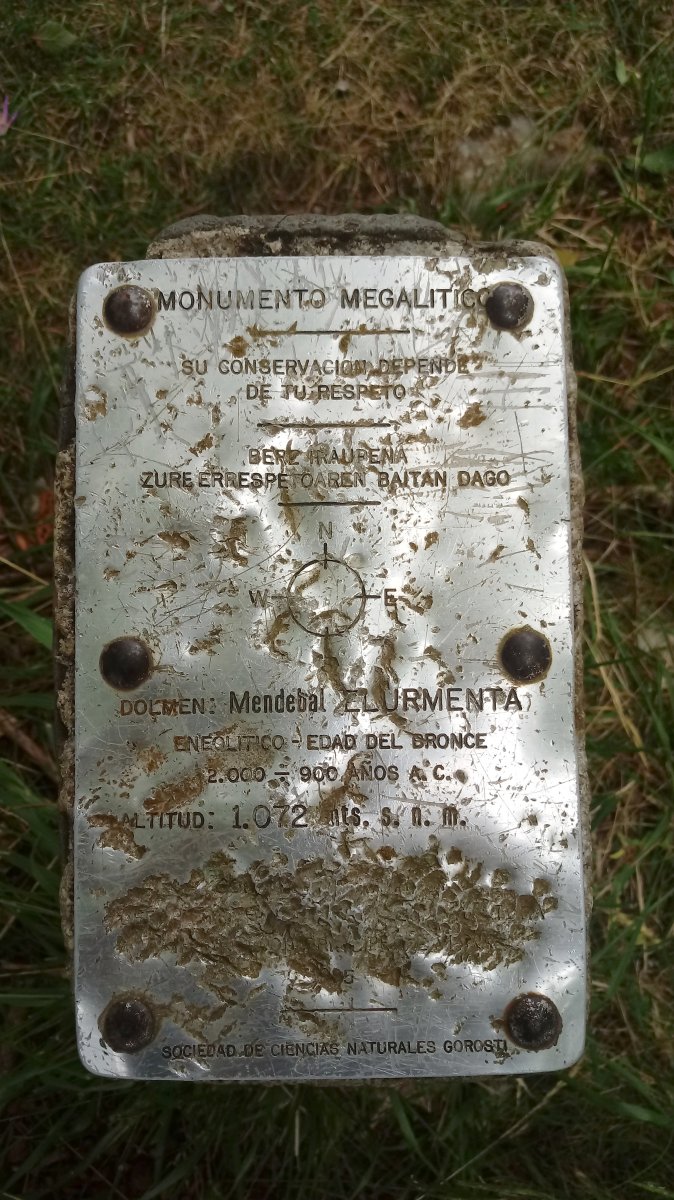 Mendebal Elurmenta trikuharria