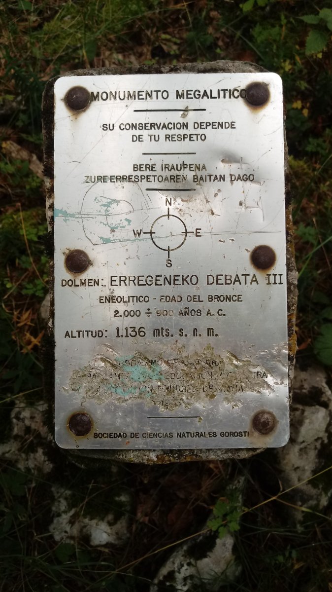 Erregeneko Debata III trikuharria