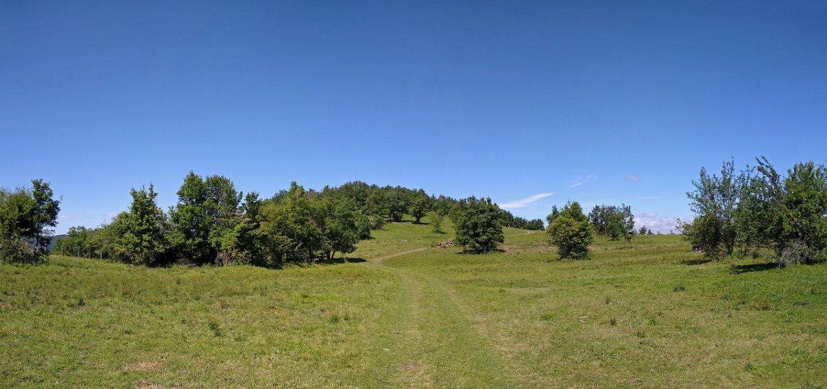 Muskildoia ekialdeko lepotik