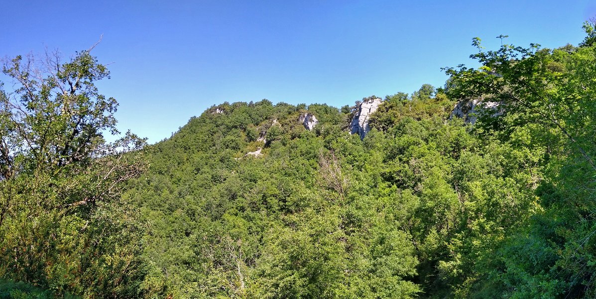 Muskildoia Igariko bidetik