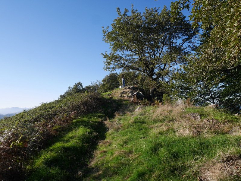 Pagolarreko tontorra