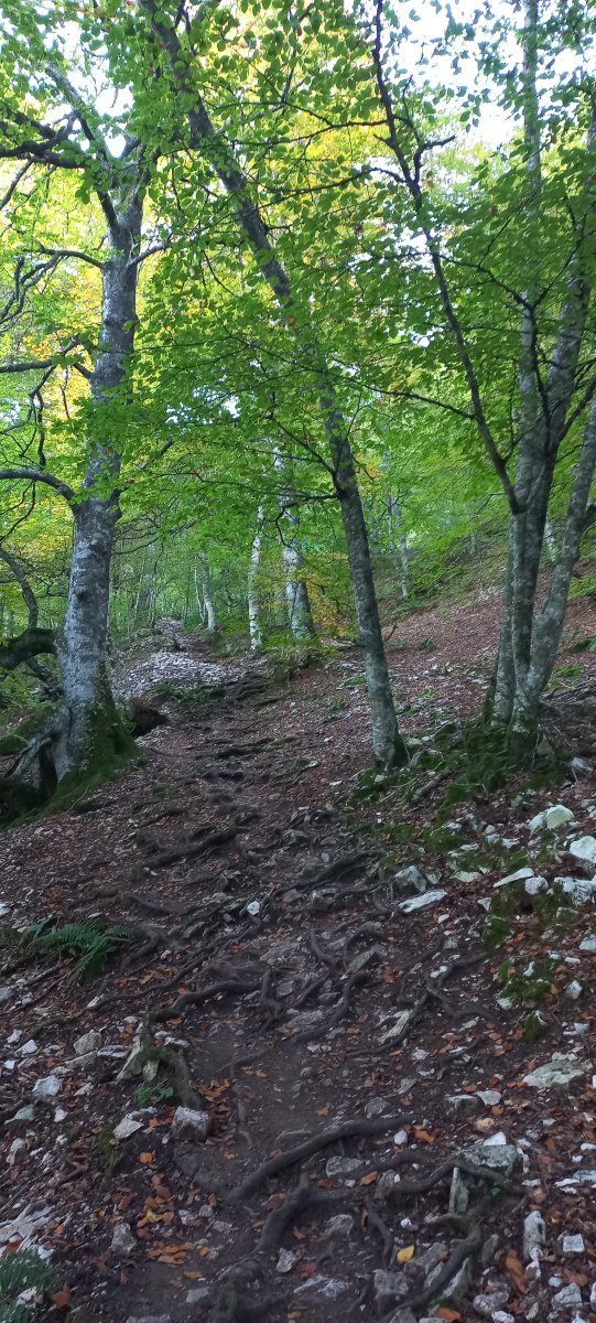 Beriain (1493m) Kilometro Bertikala